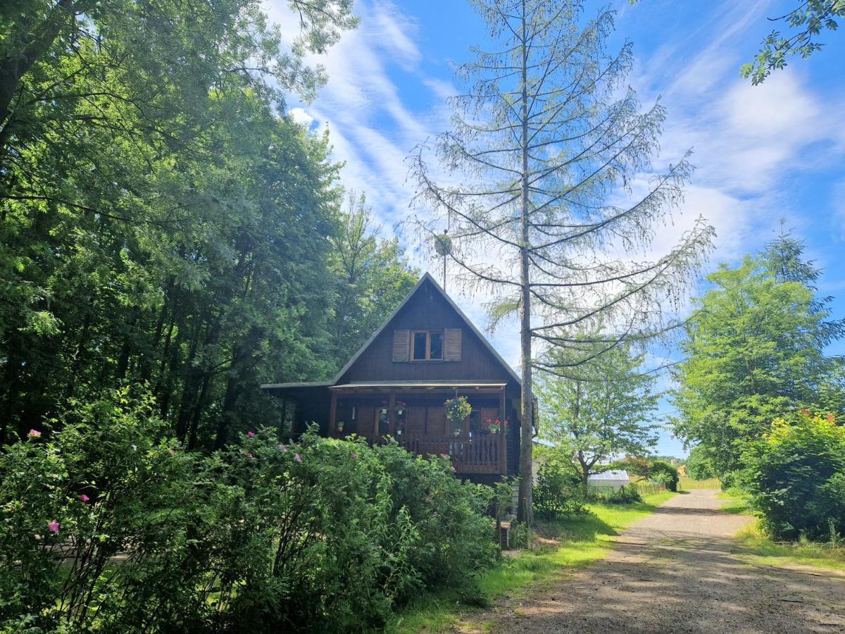 Villa Chata Lucina Horní Soběšovice Exterior foto